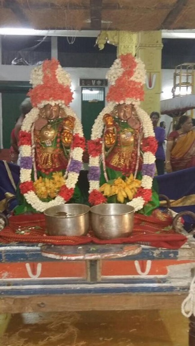 Mylapore SVDD Srinivasa Perumal Temple Manmadha Varusha Kodai utsavam12
