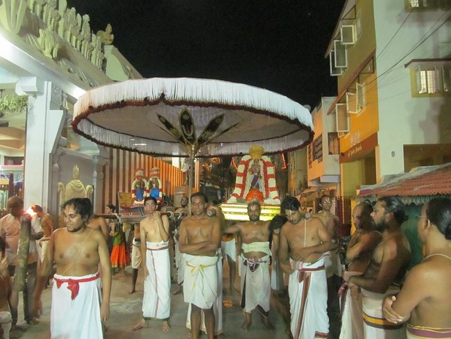 Mylapore SVDD Srinivasa Perumal Temple Manmadha Varusha Kodai utsavam12