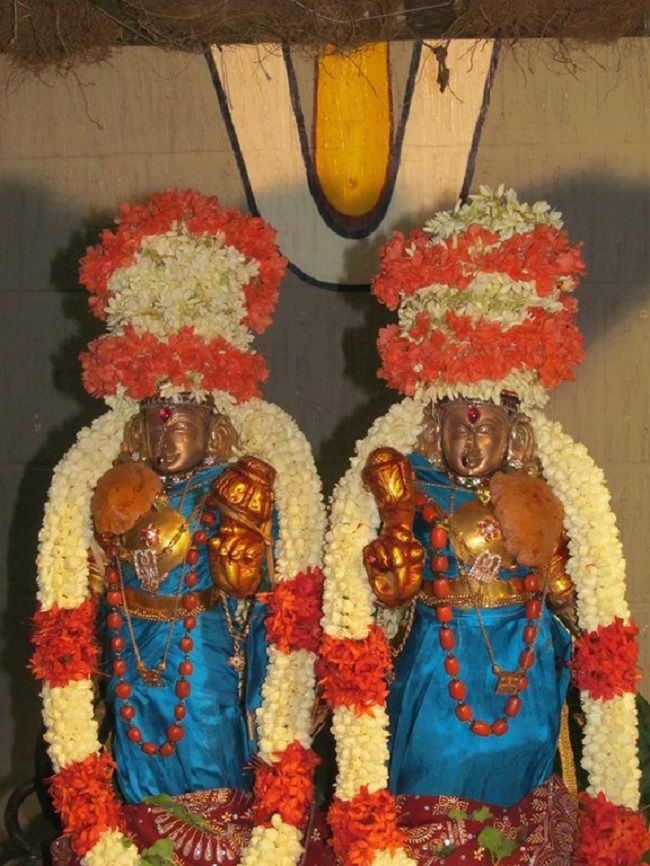 Mylapore SVDD Srinivasa Perumal Temple Manmadha Varusha Kodai utsavam13
