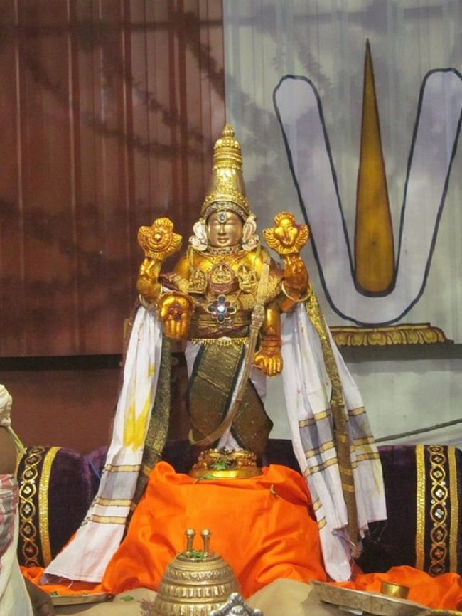 Mylapore SVDD Srinivasa Perumal Temple Manmadha Varusha Kodai utsavam22