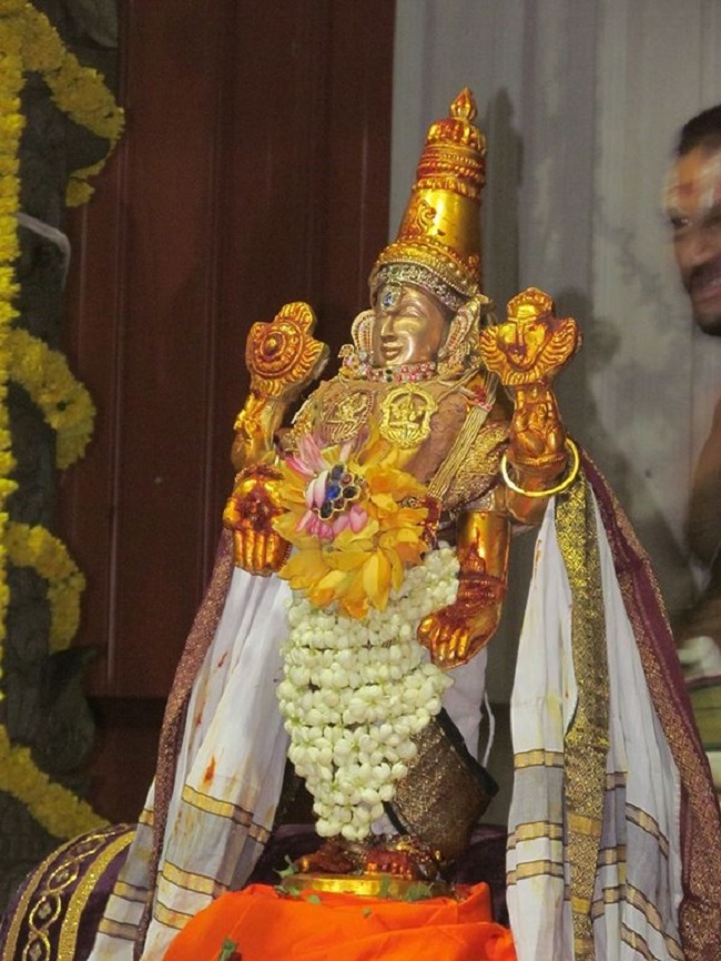 Mylapore SVDD Srinivasa Perumal Temple Manmadha Varusha Kodai utsavam26