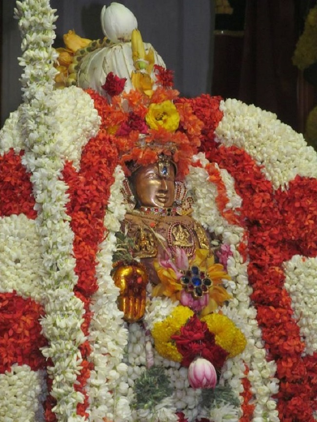 Mylapore SVDD Srinivasa Perumal Temple Manmadha Varusha Kodai utsavam27