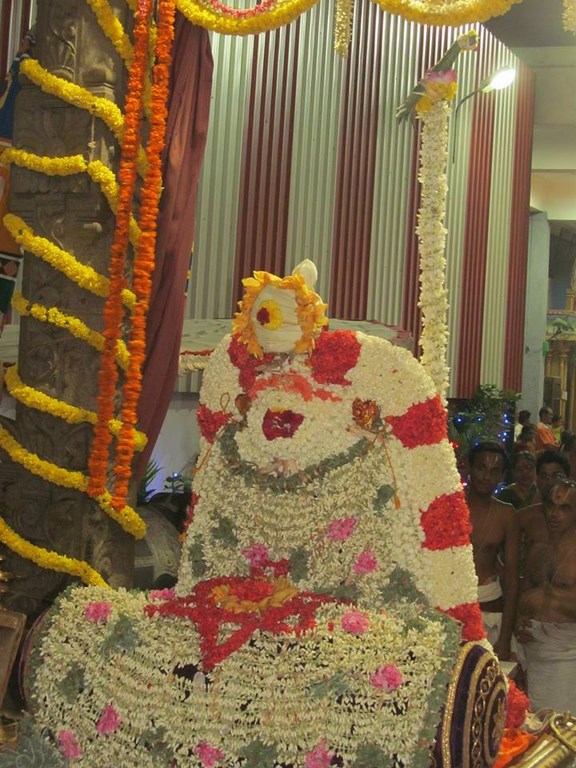 Mylapore SVDD Srinivasa Perumal Temple Manmadha Varusha Kodai utsavam30