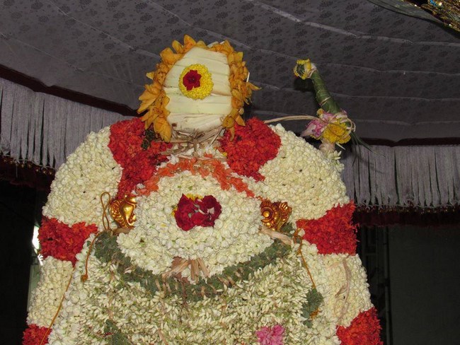 Mylapore SVDD Srinivasa Perumal Temple Manmadha Varusha Kodai utsavam33