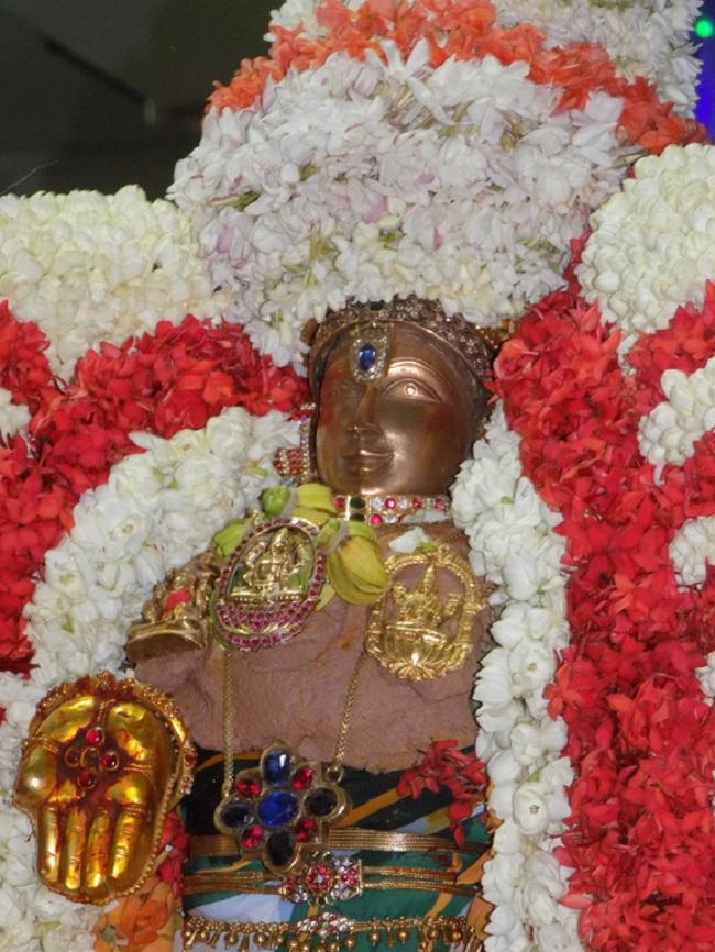 Mylapore SVDD Srinivasa Perumal Temple Manmadha Varusha Kodai utsavam6
