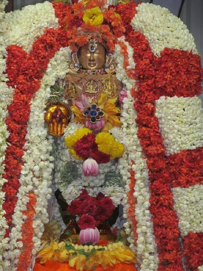 Mylapore SVDD Srinivasa Perumal Temple Manmadha Varusha Kodai utsavam8