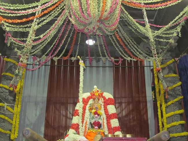 Mylapore SVDD Srinivasa Perumal Temple Manmadha Varusha Kodai utsavam9