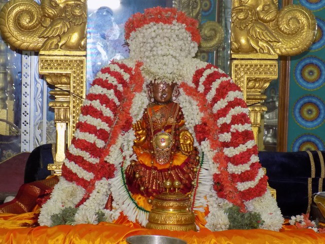 Mylapore SVDD Srinivasa Perumal Temple Manmadha Varusha Kodai utsavam9