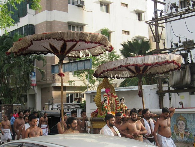 Mylapore SVDD Srinivasa Perumal Temple Manmadha Varusha Thotta Utsavam1