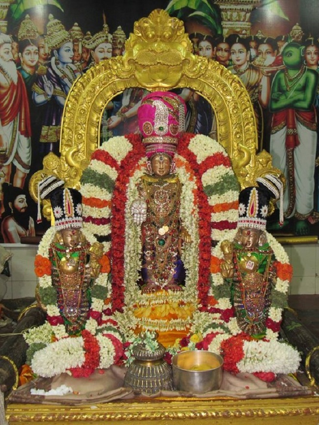 Mylapore SVDD Srinivasa Perumal Temple Manmadha Varusha Thotta Utsavam3