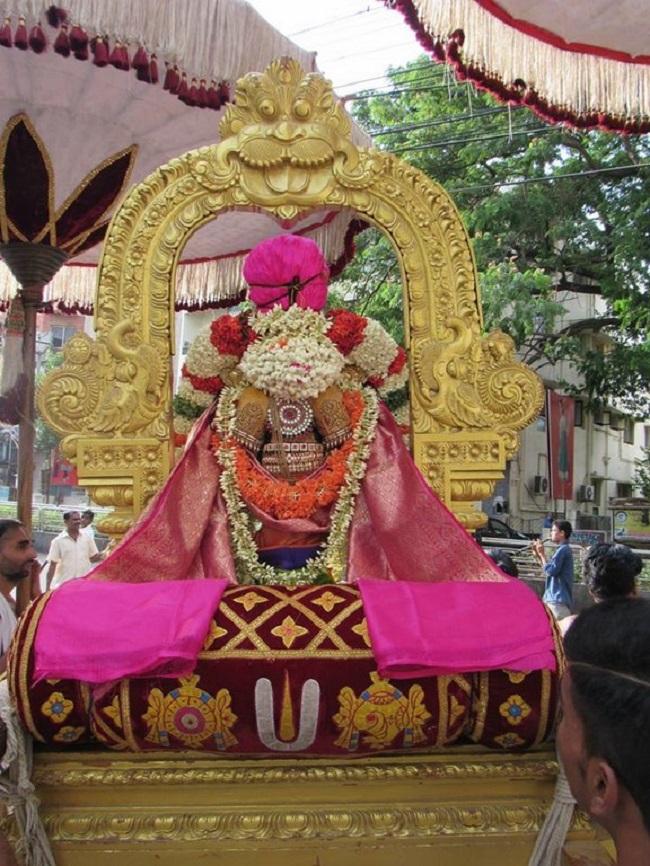 Mylapore SVDD Srinivasa Perumal Temple Manmadha Varusha Thotta Utsavam4