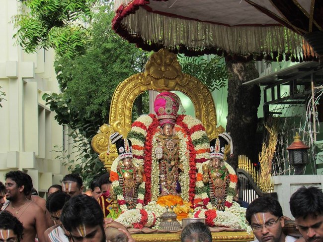 Mylapore SVDD Srinivasa Perumal Temple Manmadha Varusha Thotta Utsavam5
