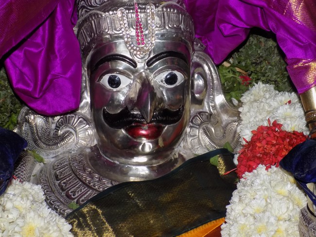 Nanganallur Sri Lakshmi Narasimhar Navaneetha Krishnan Temple Aani Garuda Sevai11