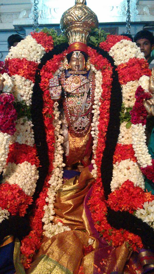 Narasingapuram Brahmotsavam 1