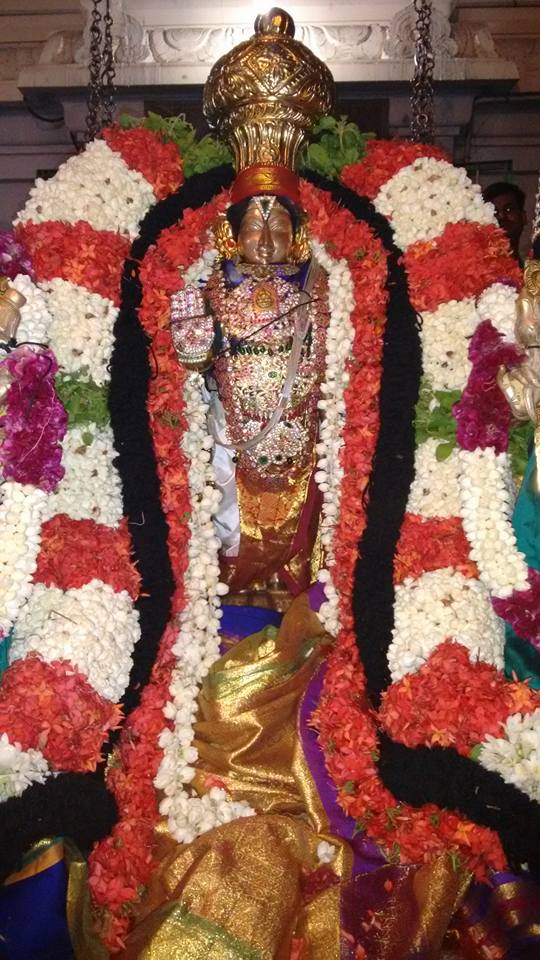 Narasingapuram Brahmotsavam 6