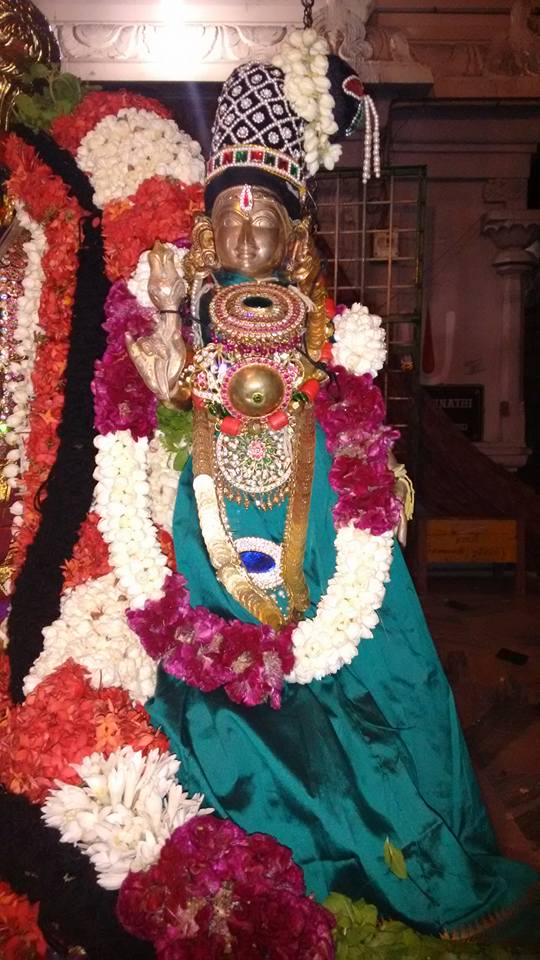 Narasingapuram Brahmotsavam 7
