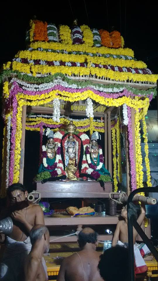 Narasingapuram Brahmotsavam 8