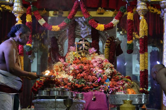 Pomona New york Sri Ranganatha Temple Brahmotsavam (24)
