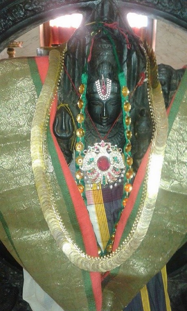 Sudarshana Jayanthi At Hazira Sri Balaji Temple2