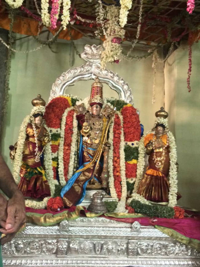 Thirukudanthai Sri Aaravamudhan Samprokshanam 2