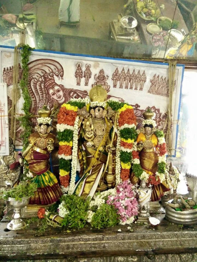 Thirukudanthai Sri aaravamudhan Samprokshanam 13