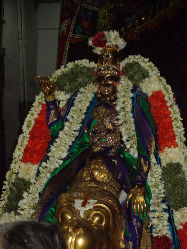 Thirumaliruncholai Kalazhagar brahmotsavam 14