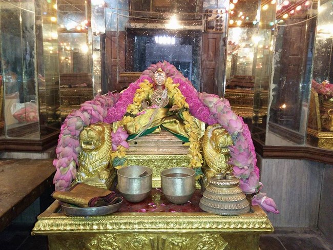 Thiruvahindrapuram Sri Devanathan Perumal Temple Aani Sravana Purappadu2