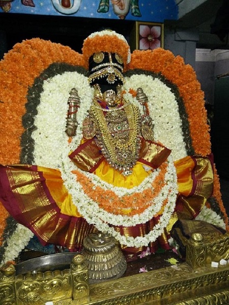 Thiruvahindrapuram Sri Devanathan Perumal Temple Aani Sravana Purappadu7