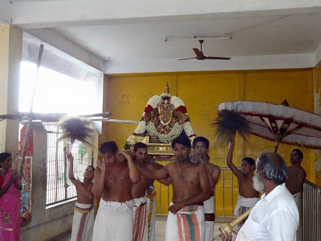 Thiruvahindrapuram_Desikan_Vasanthotsavam12