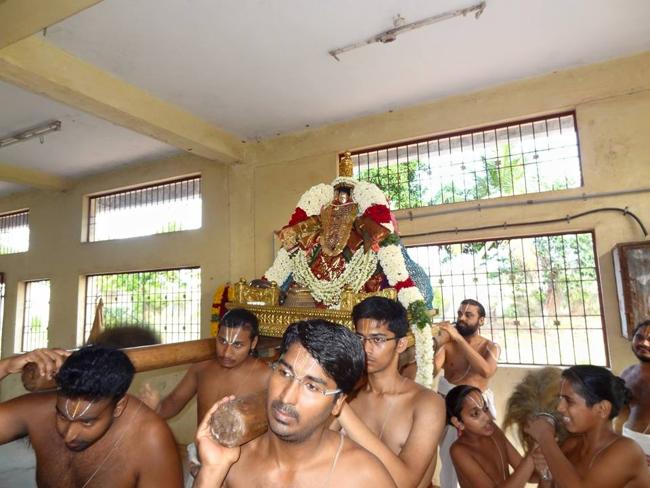 Thiruvahindrapuram_Desikan_Vasanthotsavam13