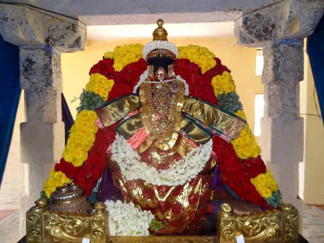 Thiruvahindrapuram_Desikan_Vasanthotsavam10