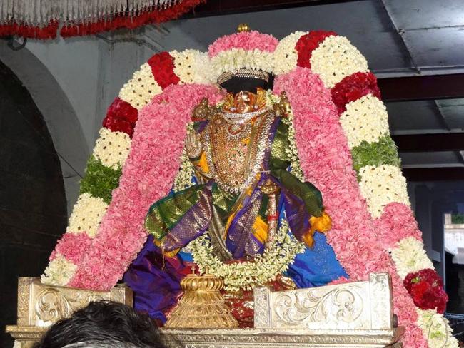 Thiruvahindrapuram_Vasanthotsavam1