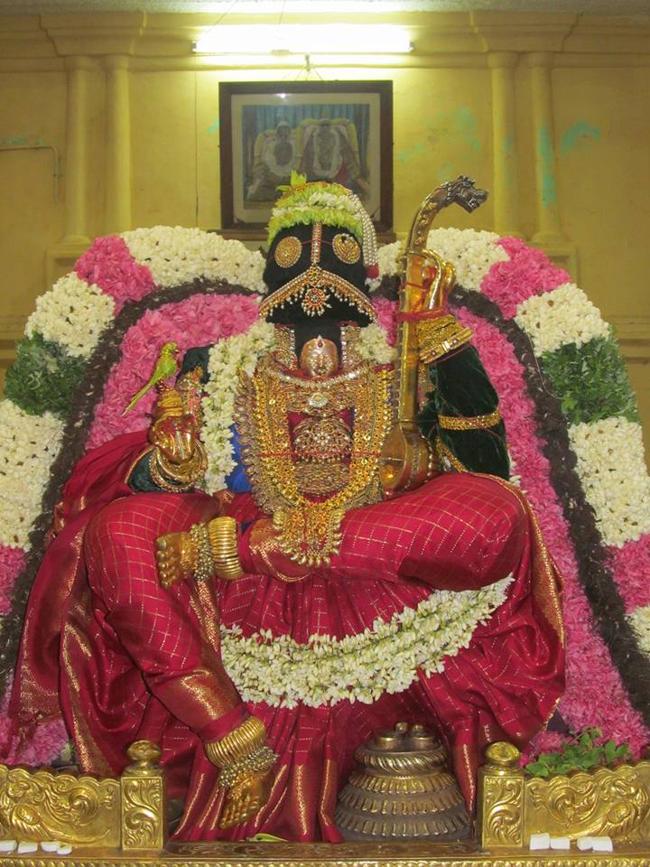 Thiruvahindrapuram_Vasanthotsavam20