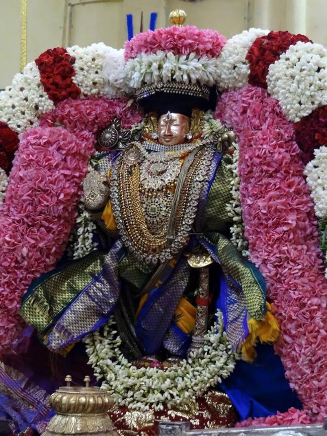 Thiruvahindrapuram_Vasanthotsavam4
