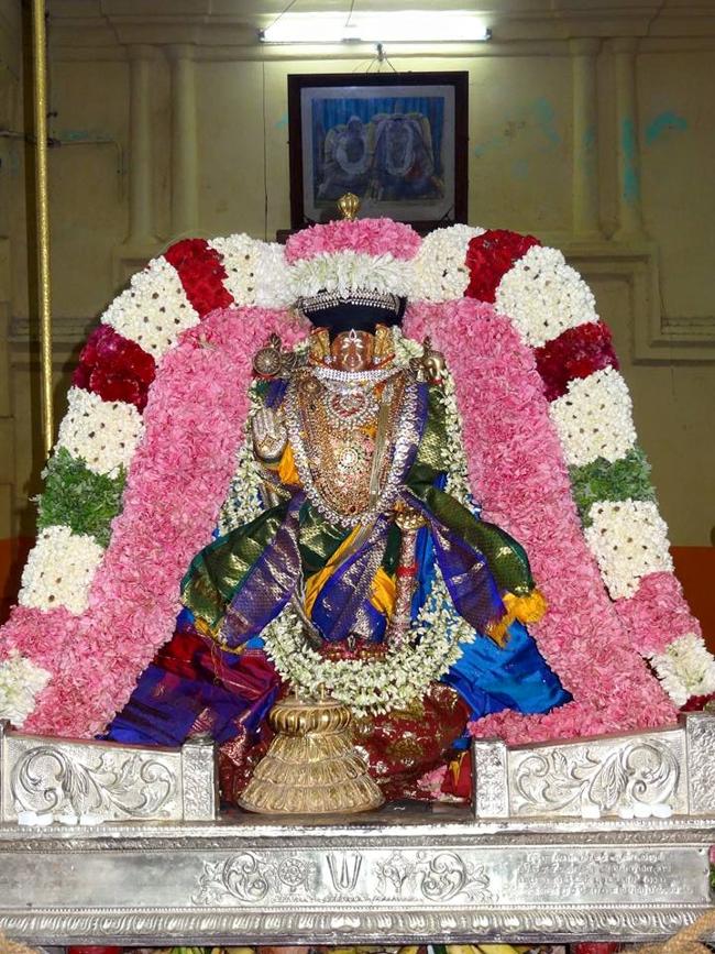 Thiruvahindrapuram_Vasanthotsavam9