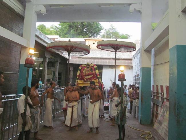 Thiruvahindrapuram_Vasanthotsavam11