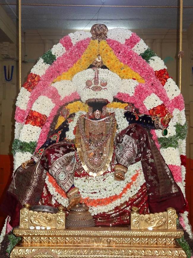 Thiruvahindrapuram_Vasanthotsavam1