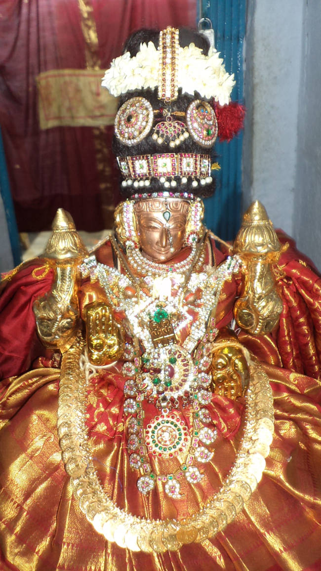 Thiruvellukai Aani kadai velli Utsavam 2