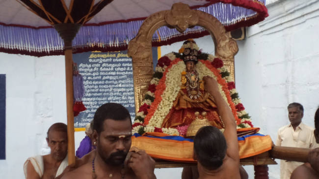 Thiruvellukai Aani kadai velli Utsavam 6