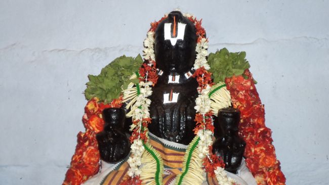 Thiruvellukai_periyazhwar satrumurai  15