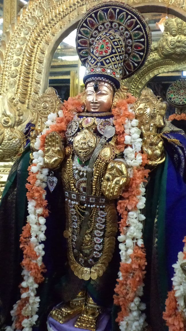 Thiruvellukai_periyazhwar satrumurai  19