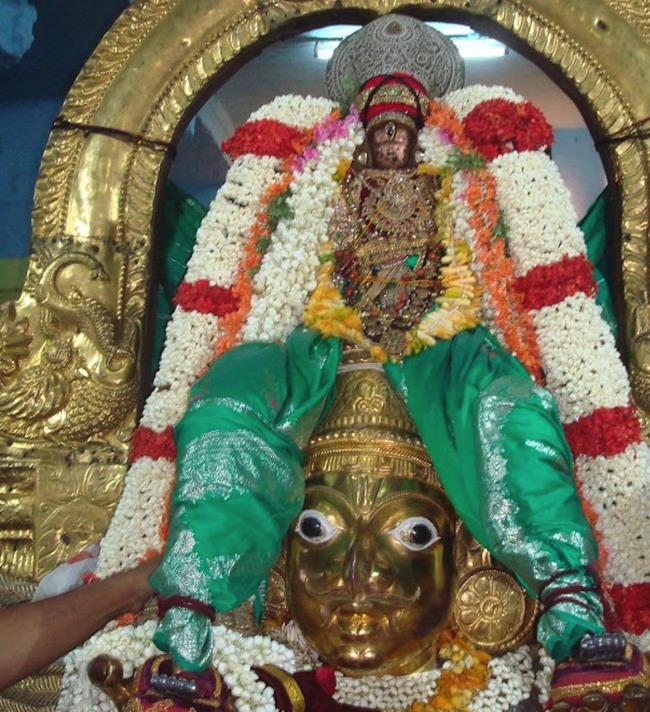 kanchi Devarajaswami temple Aani Parathathva Nirnayam  7 2015-03