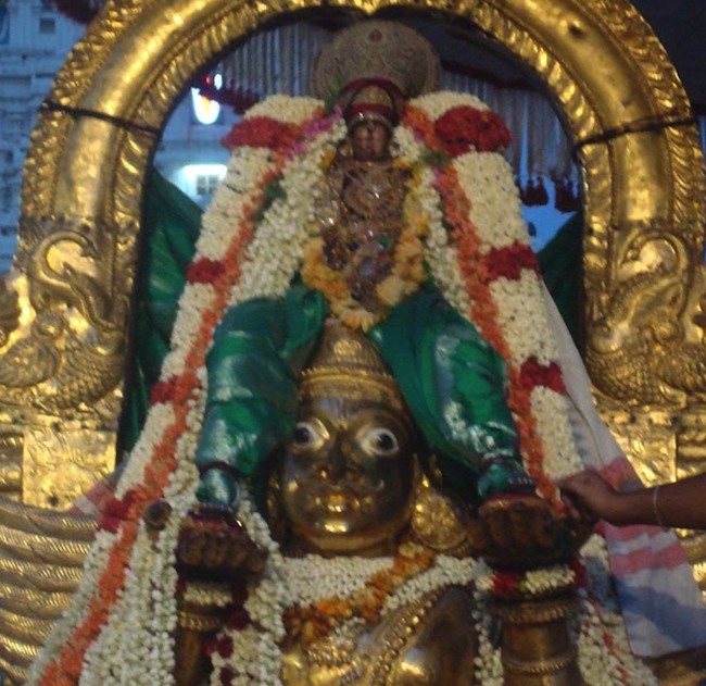 kanchi Devarajaswami temple Aani Parathathva Nirnayam  7 2015-12