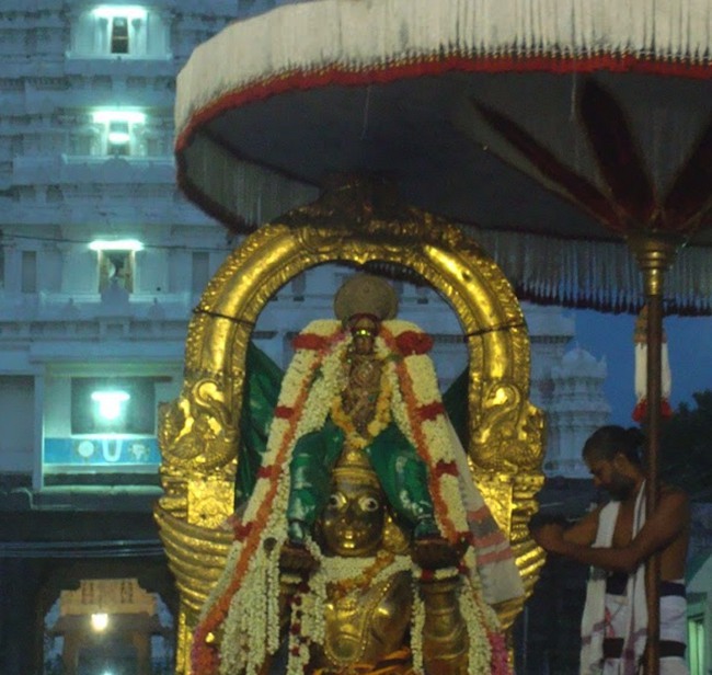 kanchi Devarajaswami temple Aani Parathathva Nirnayam  7 2015-13