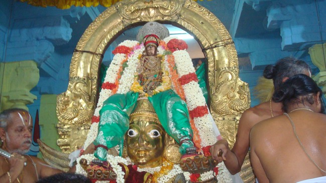 kanchi Devarajaswami temple Aani Parathathva Nirnayam  7 2015-17