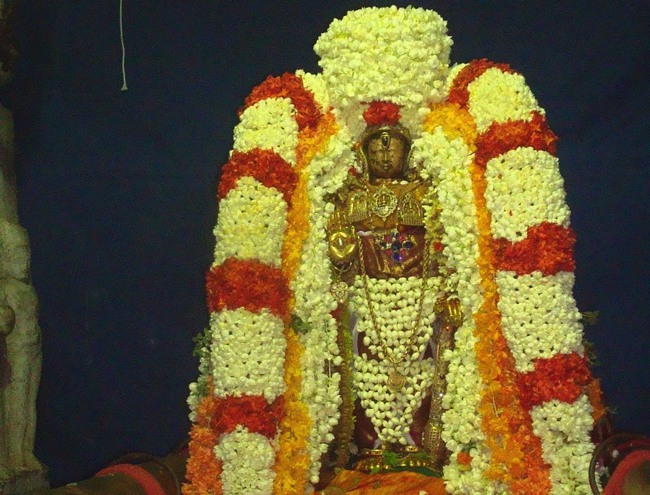 kanchi Devarajaswami temple kodai utsavam 2015-00