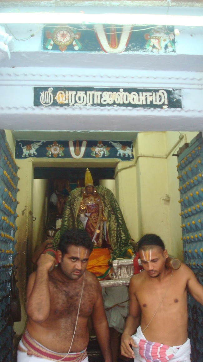 kanchi Devarajaswami temple kodai utsavam 2015-03