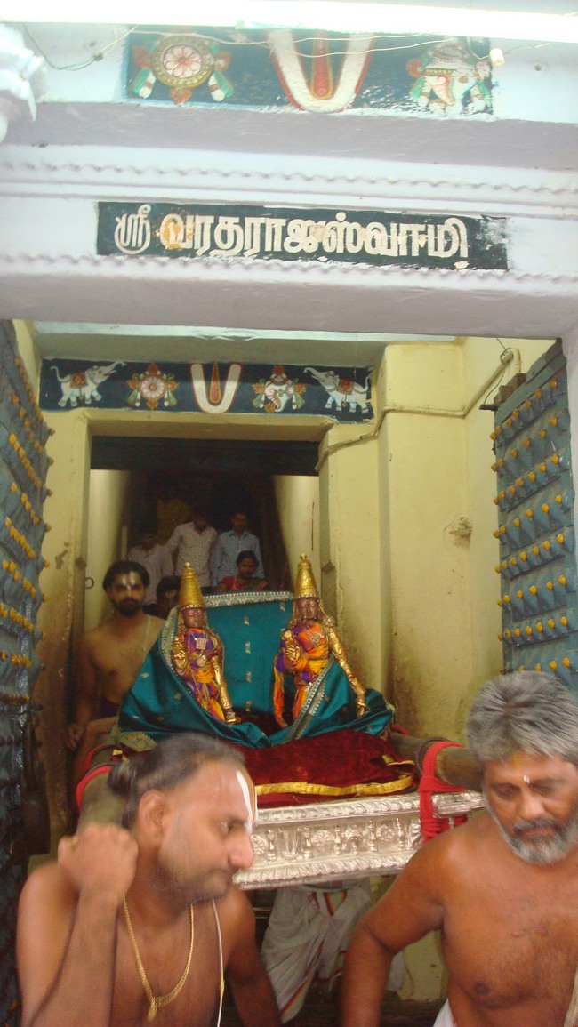 kanchi Devarajaswami temple kodai utsavam 2015-04