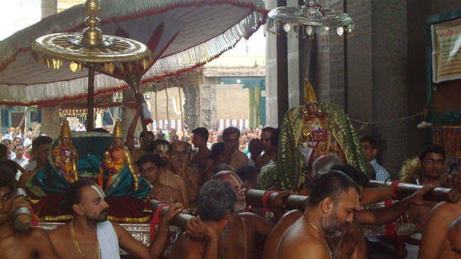 kanchi Devarajaswami temple kodai utsavam 2015-05