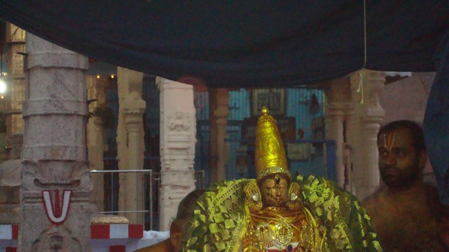 kanchi Devarajaswami temple kodai utsavam 2015-09